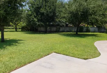 backyard-grass