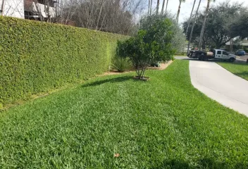 dr-john-lawn_resized