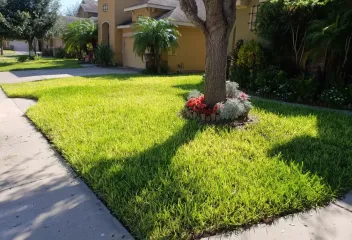 lawn-plant_resized