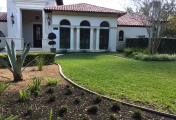 plants-lawn